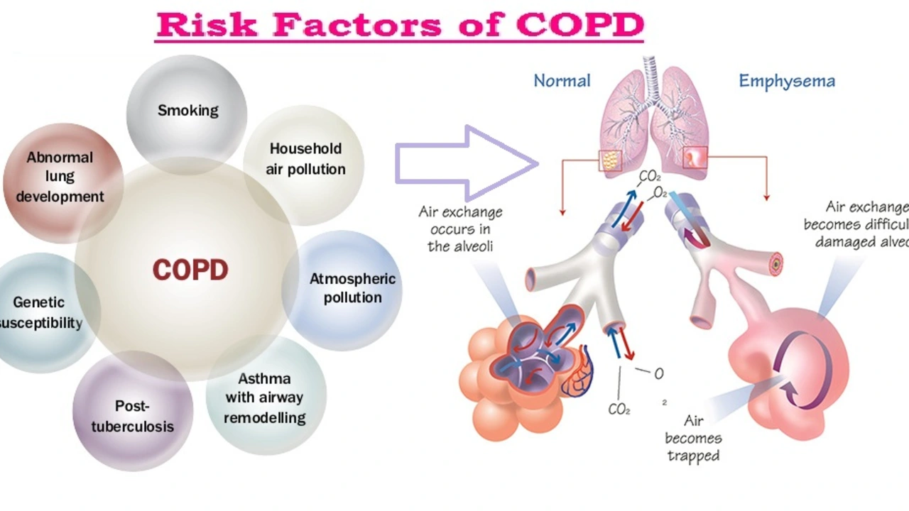 Lincomycin in the Management of Chronic Obstructive Pulmonary Disease (COPD)