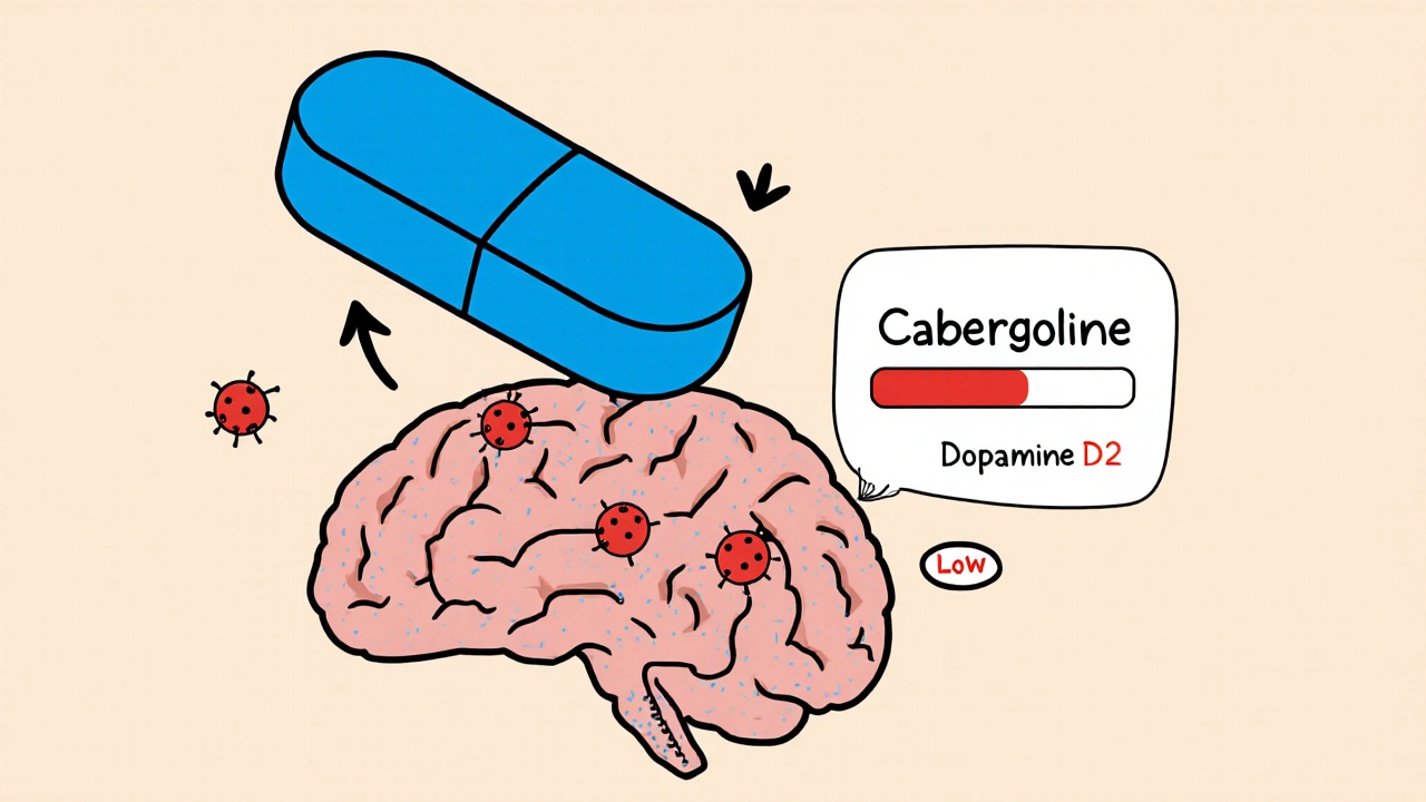 Cabergoline vs Alternatives: Benefits, Risks, and Choosing the Right Dopamine Agonist