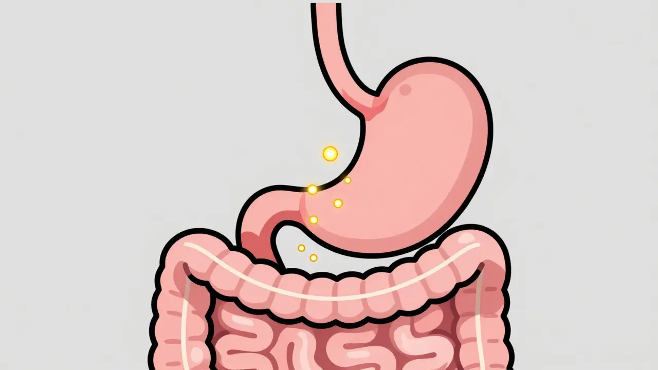 GLP-1 Receptor Agonists: How They Lower A1C and Drive Weight Loss